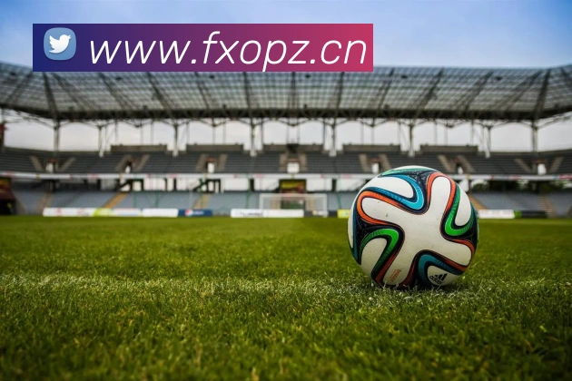 星空电竞官网入口发展历程